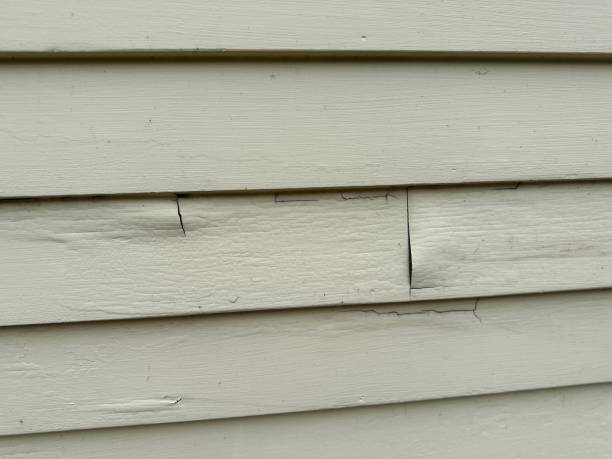 Best Stucco Siding  in Clarksville, IN